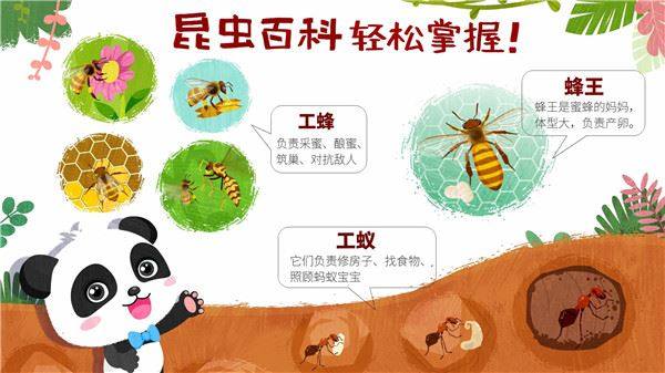 奇妙昆虫世界游戏截图3
